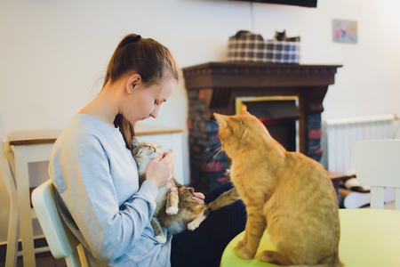 Erste Hilfe für Katzen: Verletzungen und Notfälle erkennen und richtig handeln