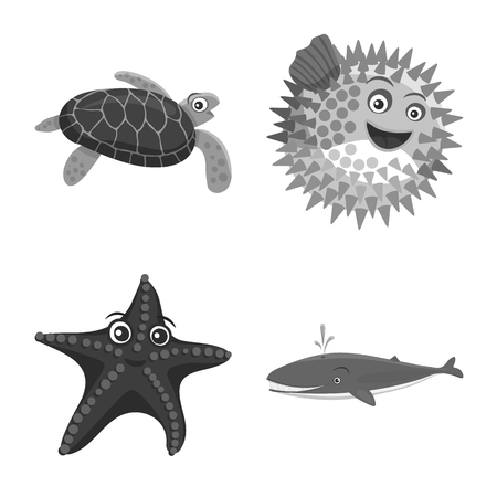 Der Guppy – Farbenfroher Klassiker für Einsteiger