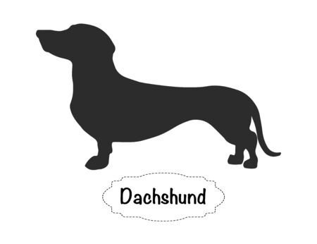 Physische Gesundheit: Prävention durch regelmäßige Bewegung