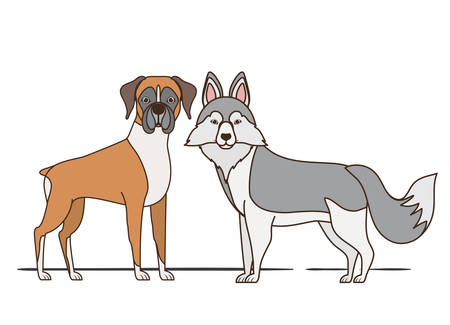 Reisen mit Hunden innerhalb Europas: EU-Heimtierausweis und Vorschriften