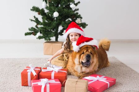 Wie kann ein tierfreundlicher Alltag in deutschen Städten aussehen? Nachhaltige Lösungen und Beispiele