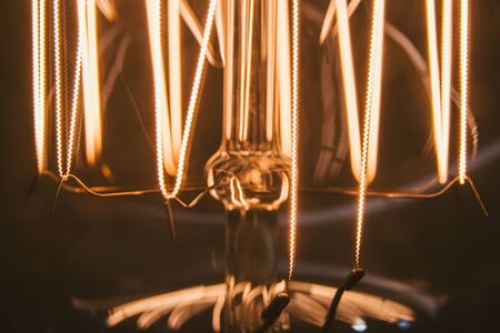 Energieeffiziente Beleuchtungssysteme im Terrarium: LED, UVB und Wärmequellen