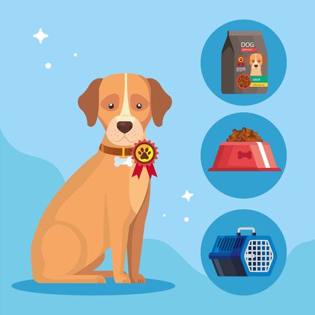 Material und Verarbeitung: Worauf kommt es bei deutschen Hundemarken an?
