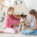 Vögel und Kinder: Welche Anfängervögel passen in Familien?