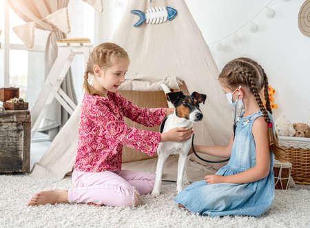 Vögel und Kinder: Welche Anfängervögel passen in Familien?