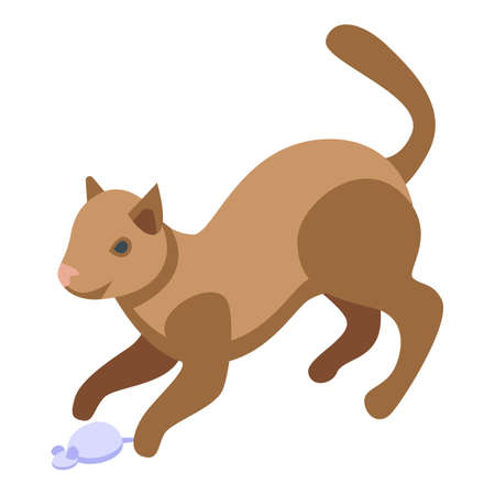Die Besonderheiten bei Hunden und Katzen