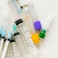 Mythen und Fakten über homöopathische Behandlungsmethoden bei Tieren