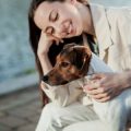 Grenzen setzen: Wie viel Disziplin braucht ein Hund in Deutschland?
