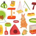 Naturnahe Terrariengestaltung für Anfänger: Tipps und Tricks aus der deutschen Terraristik