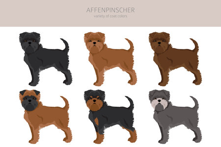 Praktische Spartipps für Tierbesitzer