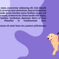 Die wichtigsten rechtlichen Rahmenbedingungen bei der Tieradoption
