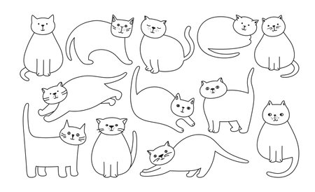 Verschiedene Arten von Katzenklos: Vor- und Nachteile