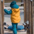 Beschäftigungsmöglichkeiten in der Voliere: Intelligente Spielzeuge und natürliche Beschäftigung für Vögel