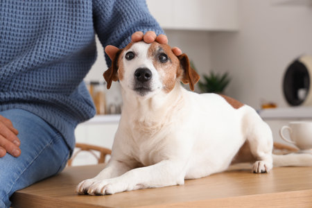 Barrierefreies Gassigehen: Tipps für ältere und gehandicapte Hunde