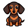 Erste Hilfe Maßnahmen bei Hunden: Schritt-für-Schritt-Anleitung für Hundebesitzer in Deutschland