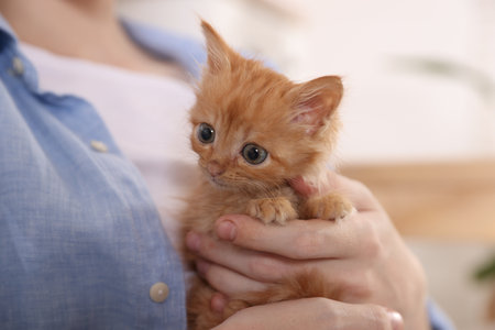Katzenstreu im Vergleich: Klumpend, Silikat oder Naturstreu?