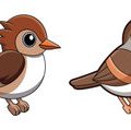 Spezielle Anforderungen bei der Ausstattung für exotische Vogelarten in Deutschland
