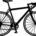 Nachhaltige Transportlösungen für Haustiere – von der Fahrradtasche bis zum E-Auto