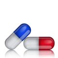 Vögel als Therapie- und Begleittiere: Potenzial und Grenzen für Einsteiger