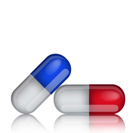 Vögel als Therapie- und Begleittiere: Potenzial und Grenzen für Einsteiger