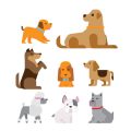 Spielzeug für Welpen: Entwicklungsfördernde Produkte und worauf deutsche Hundehalter achten sollten