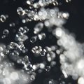 Erfolgsgeschichten deutscher Aquarianer: Süßwasser- und Meerwasserprojekte