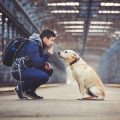 Erfahrungsberichte: Wie Versicherungen Tierhaltern in schwierigen Situationen geholfen haben
