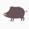 Meerschweinchen gesund ernähren: Frischfutter, Heu und wasserlösliche Vitamine