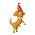 Reisevorbereitung: Was muss ich beim Reisen mit meinem Hund beachten?