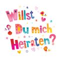 Britisch Kurzhaar: Charakter, Pflege und Integration in den deutschen Haushalt