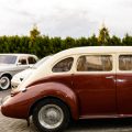 Beschaffung und Transport von Vögeln: Seriöse Quellen und gesetzliche Rahmenbedingungen