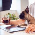 Geeignete Bodenbeläge für drinnen und draußen: Vorteil, Nachteil und Empfehlungen