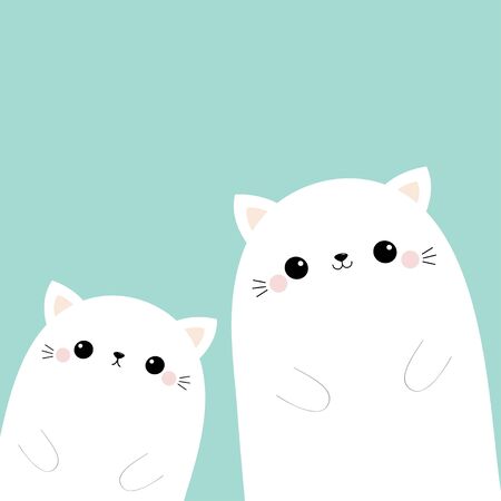 Die richtige Streu: Gibt es das perfekte Katzenstreu?