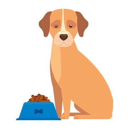 Beliebte Superfoods für Hunde: Vorteile und Risiken