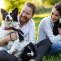 Hund und Familie: Gemeinsame Bewegung für alle Generationen