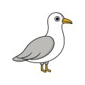 Vogelzubehör und Käfige: Auswahl und typische Fehler von Anfängern