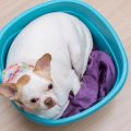 Brandverletzungen und Rauchvergiftungen: Was tun im Fall eines Wohnungsbrandes?