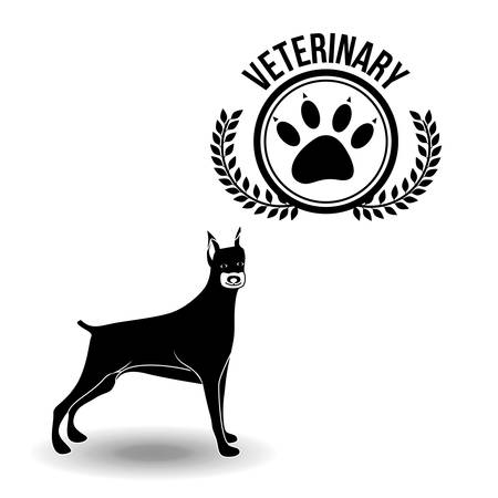 Hundewelt Dortmund: Ein Branchentreffpunkt mit Tradition