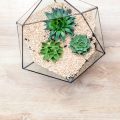 Gerätesicherheit und Schutz vor Überhitzung, Kurzschluss & Wasserschäden im Terrarium