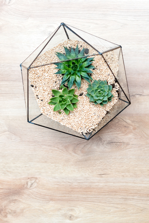 Gerätesicherheit und Schutz vor Überhitzung, Kurzschluss & Wasserschäden im Terrarium
