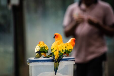 Vogelfutter im deutschen Handel: Qualität, Siegel und Einkaufstipps