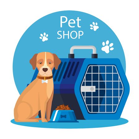Barrierefreies Hundezubehör: Produkte und innovative Lösungen