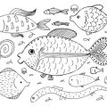 Einfluss der Wasserchemie auf Fische: Stress, Krankheiten und Langzeitfolgen im Heimaquarium