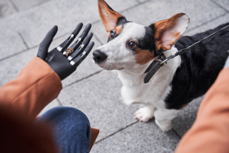 Naturheilkundliche Unterstützung bei chronischen Erkrankungen von Haustieren