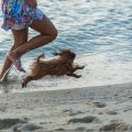 Vor- und Nachkontrolle: Wie laufen sie ab und was ist zu beachten?