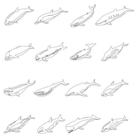Füllen des Aquariums und Zugabe von Wasseraufbereiter