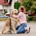 Aktuelle Trends bei Tieradoption und Rassezucht: Zahlen, Fakten und Meinungen