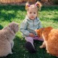 Erste Hilfe bei Kleintierunfällen: Was Kinder wissen sollten