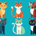 Welche Reinigungsmittel sind katzensicher? Tipps zur chemiefreien Reinigung