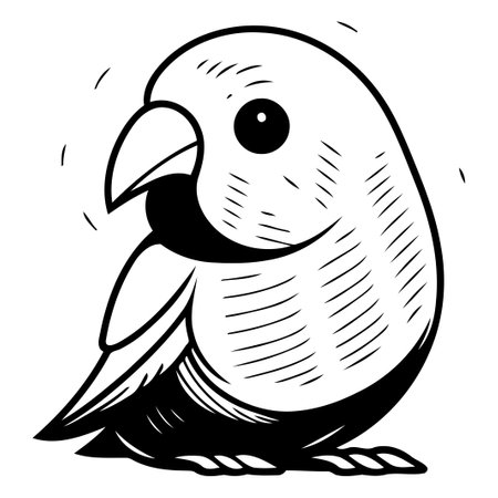 Vorbeugende Pflegemaßnahmen im Vogelalltag